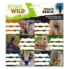 Ars Una Füzetcímke ARS UNA 18 darabos Icons of the Wild