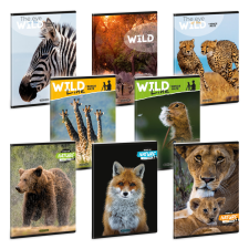 Ars Una Máté Bence-mix A/5 extra kapcsos füzet-szótár füzet