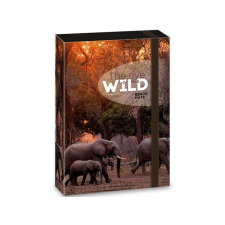 Ars Una : Máté Bence The Eyes of the Wild - Elefánt füzetbox A/4 füzetbox