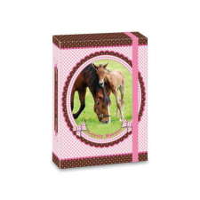 Ars Una My Horse füzetbox A5-ös füzetbox