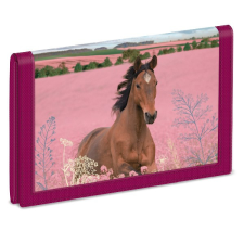 Ars Una Pénztárca ARS UNA Wild And Free pénztárca