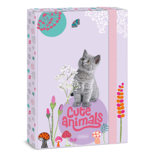 Ars Una Studio Kft. Ars Una A4 füzetbox Cute Animals-kitten (5368) 24 füzetbox