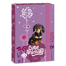 Ars Una Studio Kft. Ars Una A4 füzetbox Cute Animals-puppy (5369) 24 füzetbox