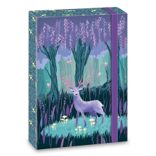 Ars Una Studio Kft. Ars Una A4 füzetbox Midnight Wish (5129) 22 füzet