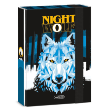 Ars Una Studio Kft. Ars Una A5 füzetbox Nightwolf (5257) 23 füzetbox