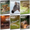 Ars Una The eyes of the wild A5 extra kapcsos sima füzet (ARS_UNA_53151001)
