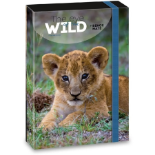 Ars Una The eyes of the wild lion A4 füzetbox füzetbox