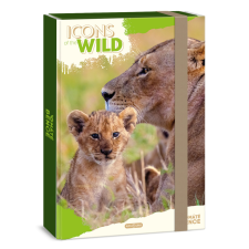 Arsuna Ars Una Icons of the Wild-Lions A/4 füzetbox füzetbox