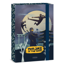 Arsuna Ars Una Ninjas in the dark A/4 füzetbox füzetbox