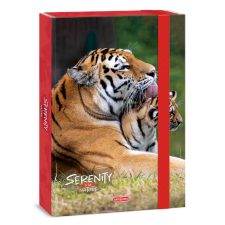 Arsuna Ars Una Serenity-Tiger A/4 füzetbox füzetbox