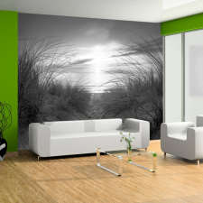 Artgeist Fotótapéta - beach (black and white) 350x245 tapéta, díszléc és más dekoráció