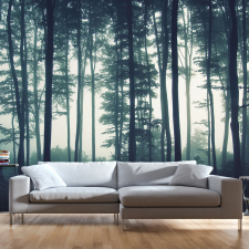 Artgeist Fotótapéta - Dark Forest 350x245 tapéta, díszléc és más dekoráció