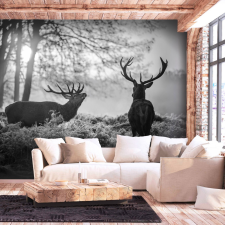 Artgeist Fotótapéta - Deers in the Morning 100x70 grafika, keretezett kép