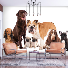 Artgeist Fotótapéta - Dog Integration 200x140 grafika, keretezett kép