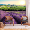 Artgeist Fotótapéta - Lavender Field 450x315
