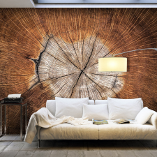 Artgeist Fotótapéta - The Soul of a Tree 350x245 tapéta, díszléc és más dekoráció