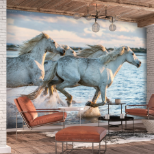 Artgeist Fotótapéta - Wild Race 400x280 grafika, keretezett kép