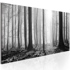 Artgeist Kép - Black and White Forest grafika, keretezett kép