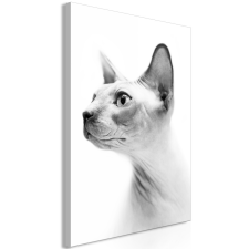 Artgeist Kép - Hairless Cat (1 Part) Vertical 40x60 grafika, keretezett kép