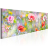 Artgeist Kép - Rainbow of Morning Poppies