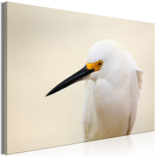 Artgeist Kép - Snowy Egret (1 Part) Wide 120x80 grafika, keretezett kép