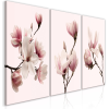 Artgeist Kép - Spring Magnolias (3 Parts) 60x30