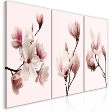 Artgeist Kép - Spring Magnolias (3 Parts) 60x30 grafika, keretezett kép