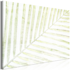 Artgeist Vászonkép - Palm Leaf (1 Part) Wide 90x60 grafika, keretezett kép
