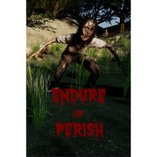 Ascent Gaming Studios Endure or Perish (PC - Steam elektronikus játék licensz) videójáték
