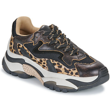 Ash Rövid szárú edzőcipők ADDICT Fekete 38