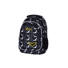 ASTRABAG, Iskolai hátizsák első osztályosoknak NIGHT BATS, AB420, 502022098 iskolatáska