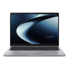 Asus ExpertBook P3 P3606CCAP-MB0395 laptop
