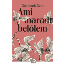 Athenaeum Kiadó Ami maradt belőlem regény