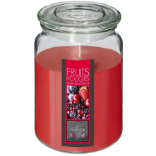  Atmosphera Red Fruits 510 g (3560239691365) gyertya