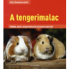 Axel Gutjahr A TENGERIMALAC - HÁZI KEDVENCEINK