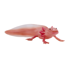 Axolotl Figura játékfigura