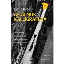 Az álmok kalligráfiája regény
