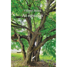 Az egyetlen egyéb könyv