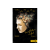 B-WEB KFT Viszontlátásra odafönt (Dvd)