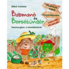Bábel Antónia Babmanó és borsótündér gyermek- és ifjúsági könyv