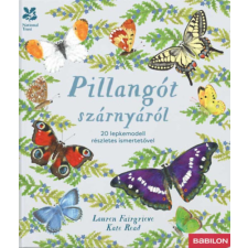 Babilon Kiadó Pillangót szárnyáról - 20 lepkemodell részletes ismertetővel gyermek- és ifjúsági könyv