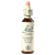 Bach Nr.09. Clematis virágesszencia 20ml