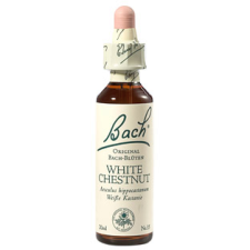 Bach Nr.35. White Chestnut virágesszencia 20ml vitamin és táplálékkiegészítő