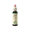 Bach original virágeszenciák Bach Holly eszencia 20ml