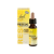 Bach original virágeszenciák Bach RESCUE DAY csepp 10 ml