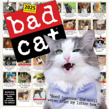 Bad Cat Wall Calendar 2025 – Rob Battles,Richard D Rosen naptár, kalendárium