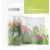 Baier & Schneider GmbH & Co.KG Heyda ablakdekor fólia (76mmx2m) dzsungel