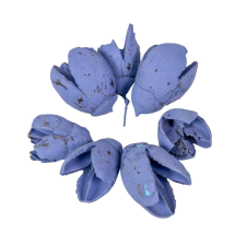  Bakuli falfestékes very peri 16dkg/csom dekorációs kellék