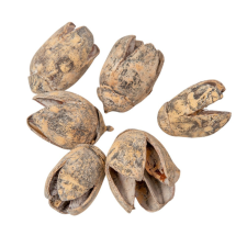  Bakuli szárított salmon 20dkg/csom dekorációs kellék