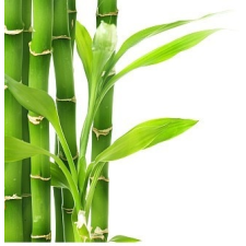  Bambuszrost liszt 500g Paleolit alapvető élelmiszer